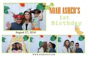 Noah Asher's 1st Birthday