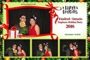 Kindred Ontario Holiday Party 2016